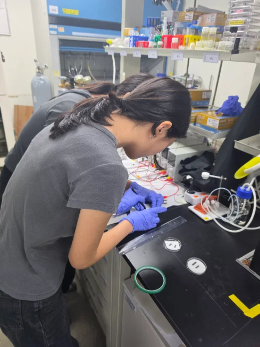 In the lab at Myongji University